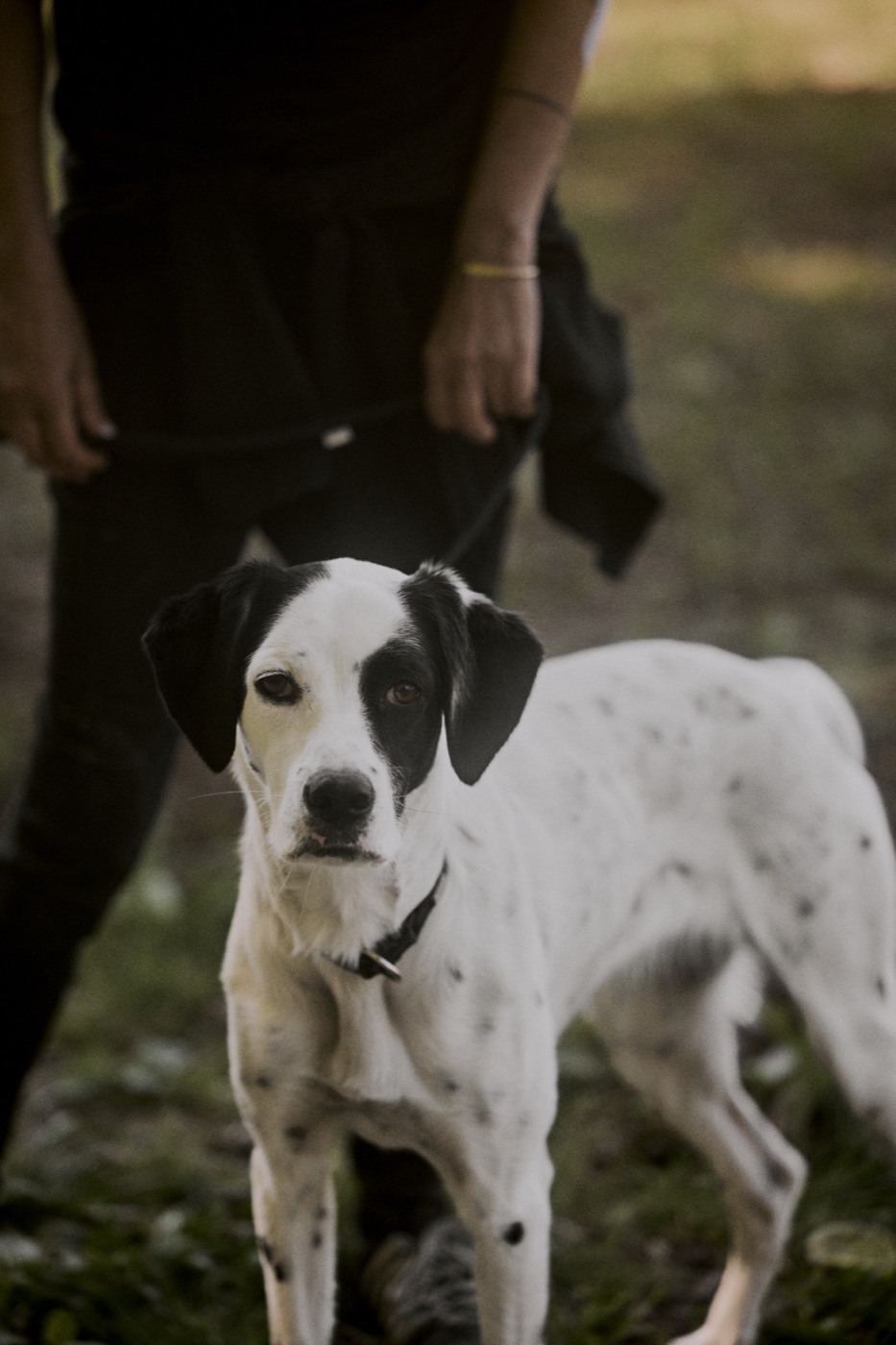Hund mit Halterin
