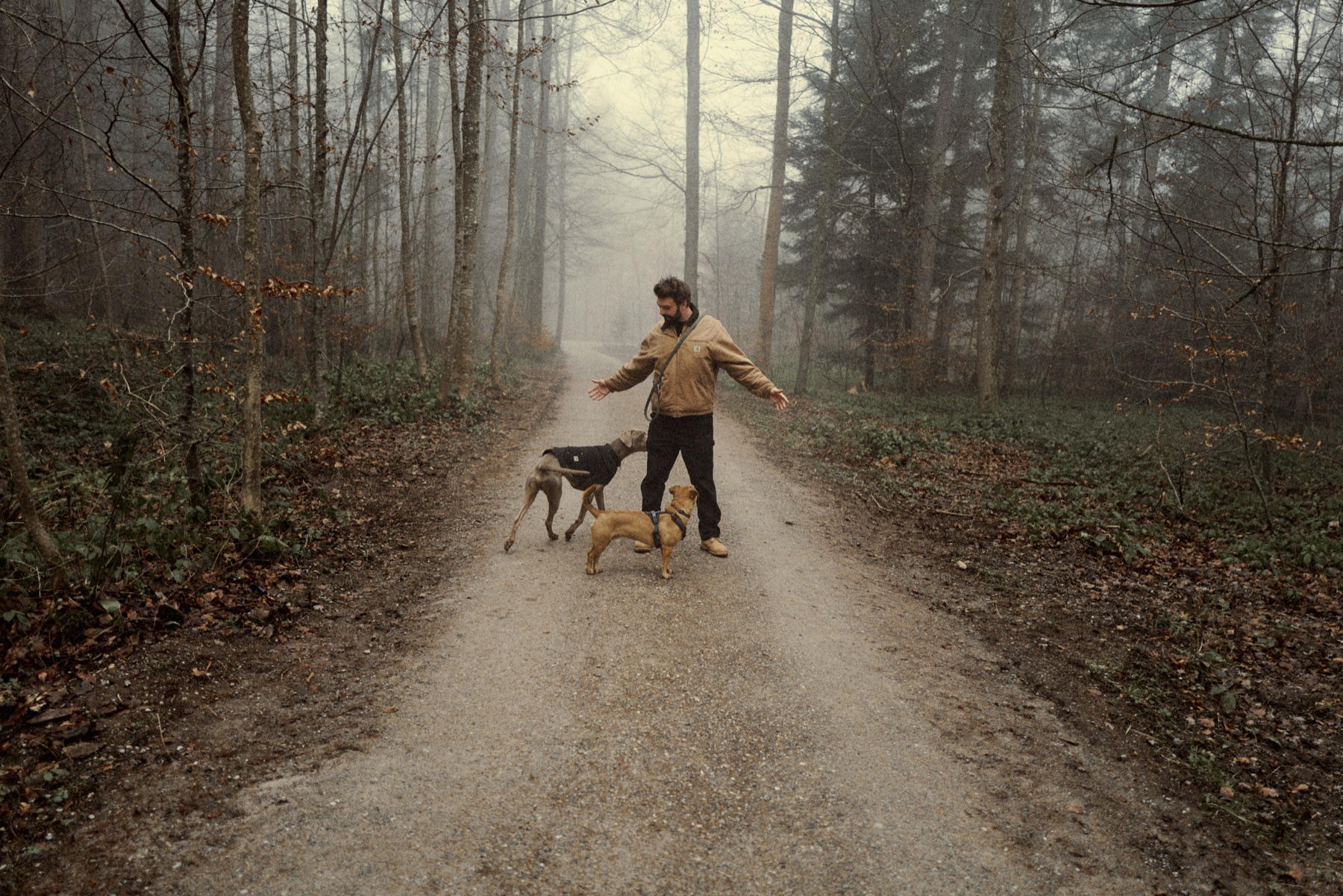 Cyrill mit Charly und Nietzsche im Nebelwald