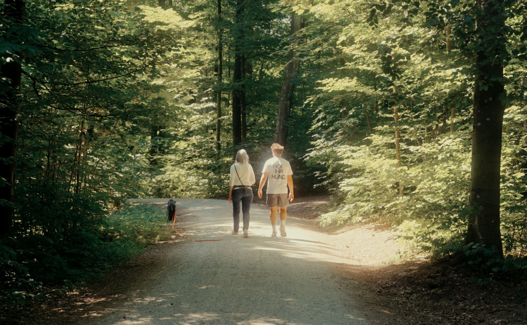 Gemeinsam unterwegs im Wald